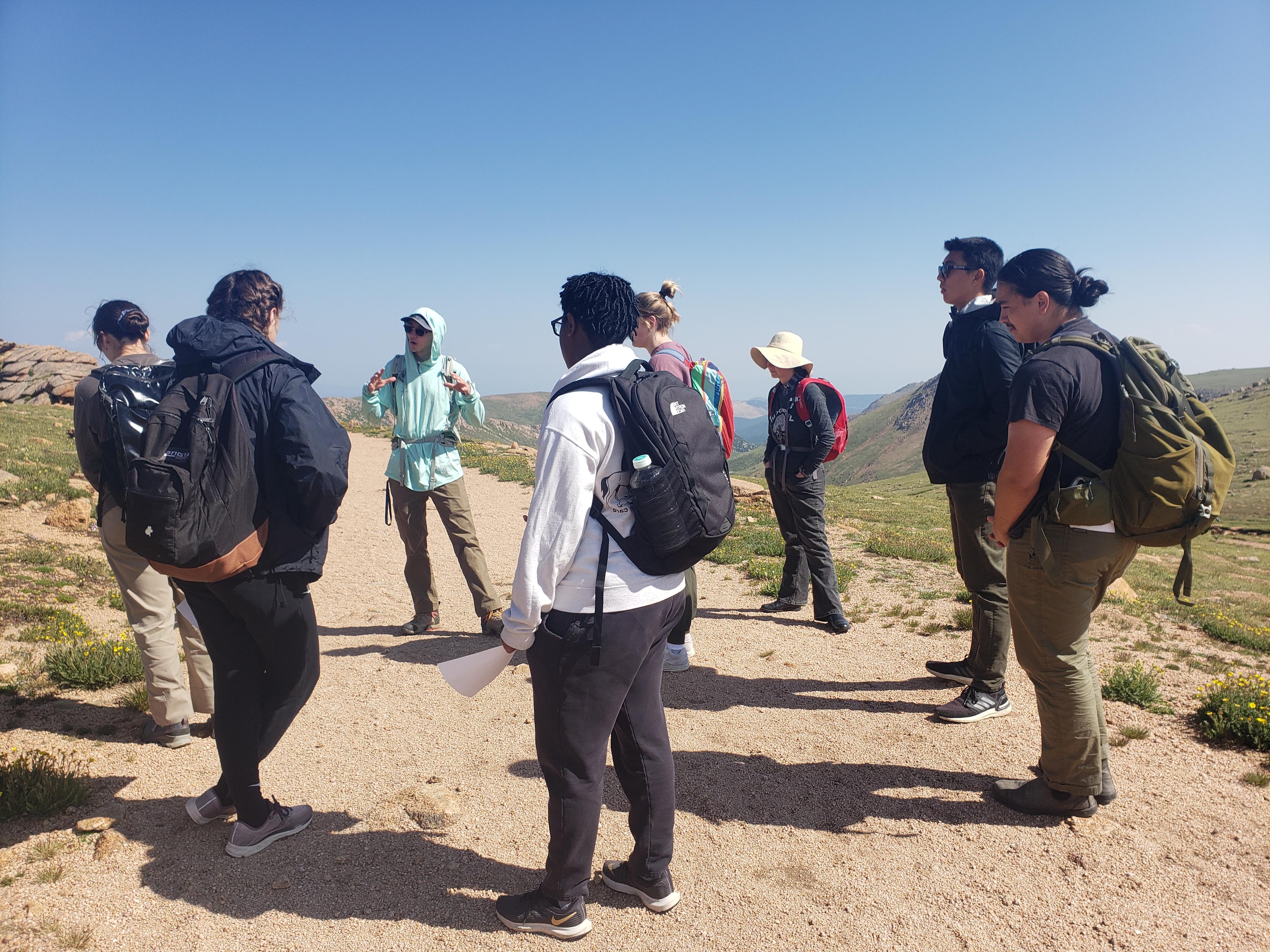 Students in Dr. Jabaily's Field Botany course learn about alpine plants on Pikes Peak, with help from Advanced Field Botany student, Zach Ginn, who has been conducting plant-pollinator interaction studies there throughout the summer. <span class="cc-gallery-credit">[Rachel Jabaily]</span>